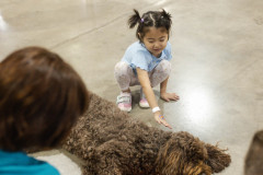 Mission-of-Mercy-81