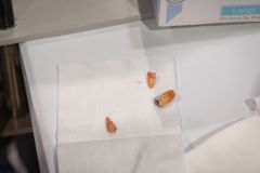 A1A7811_20231027_Rosensteel