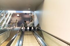 A1A9154_20241101_Rosensteel