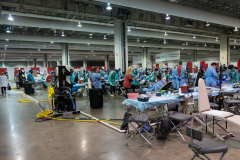 DSC01742_20211022_Rosensteel