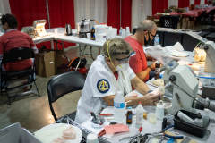 DSC02040_20211022_Rosensteel