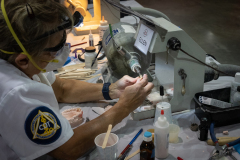 DSC02069_20211022_Rosensteel